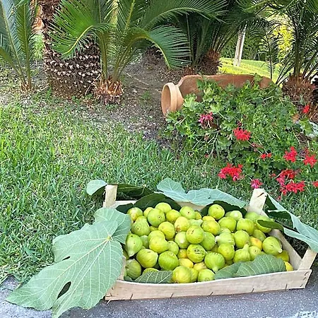 Hotel Boutique Ideal Ischia