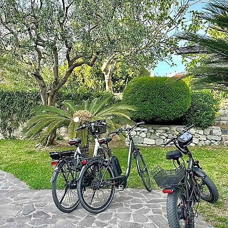 Hotel Boutique Ideal 4*